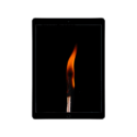 iPad mini iPad mini e1710195000691